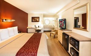 路易斯威尔路易斯维尔东斯特波红屋顶客栈的酒店客房设有一张大床和一台电视。