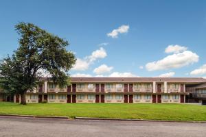 沃思堡Red Roof Inn Fort Worth South的公寓大楼前面有一棵树