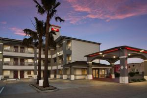 加尔维斯敦Red Roof Inn PLUS + Galveston - Beachfront的前面有棕榈树的酒店
