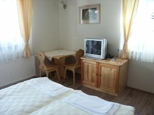Podgrad普里拉扎农场住宿酒店的一间卧室配有一张床、一张桌子和一台电视。
