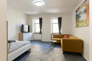 比尔森Apartsee Wellness Plzeň的一间卧室配有一张床、一张沙发和一台电视。