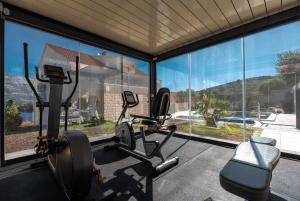 科尔丘拉WISH Apartments的一个带大窗户和两个跑步机的健身房