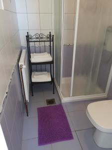 KapeleVetrovi šumijo II的带淋浴、卫生间和毛巾架的浴室