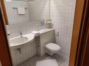 纽伦堡Landgasthof Hotel Grüner Baum的一间带水槽和卫生间的浴室