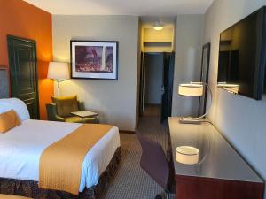 莱昂乐翁圣弗朗西斯科酒店的配有一张床和一台平面电视的酒店客房