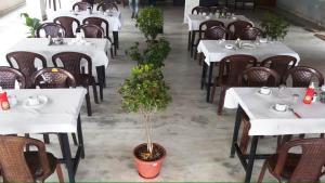 瓜廖尔Mrignayani的餐厅里一排桌椅