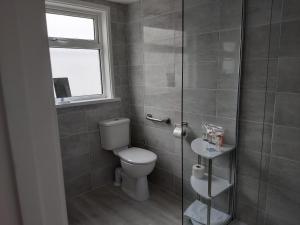 纽基Trevarrian Lodge的一间带卫生间和玻璃淋浴间的浴室