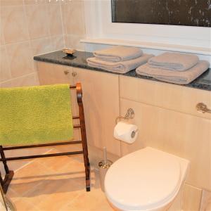 SkeabostDonmar Cottage的一间带卫生间的浴室和一个带毛巾的台面