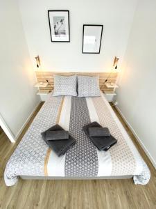 鲁昂L'INDUSTRIEL CHIC, 2 PIECES AVEC VU IMPRENABLE SUR ROUEN的一间卧室配有一张带两个枕头的床