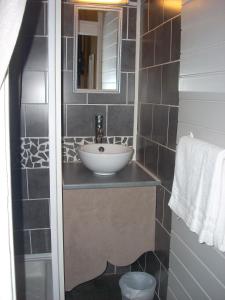 南特城堡酒店的一间带水槽和镜子的浴室