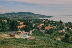 包道乔尼托毛伊Villő Villa的享有村庄的空中景色,设有房屋和湖泊