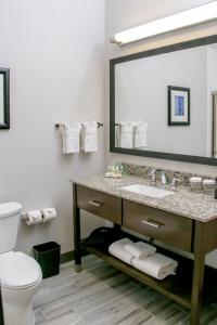 森特尼尔Holiday Inn & Suites Denver Tech Center-Centennial, an IHG Hotel的一间带水槽、卫生间和镜子的浴室