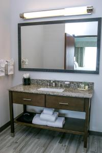 森特尼尔Holiday Inn & Suites Denver Tech Center-Centennial, an IHG Hotel的一间带水槽和大镜子的浴室