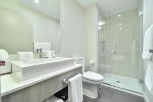 奥克兰切斯特海布鲁克酒店的一间带水槽、卫生间和淋浴的浴室