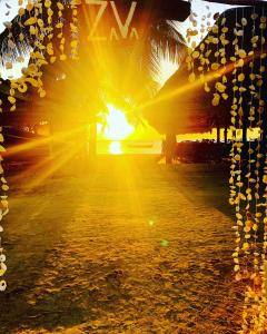 南威Zava Nungwi的棕榈树和海洋海滩上的日落