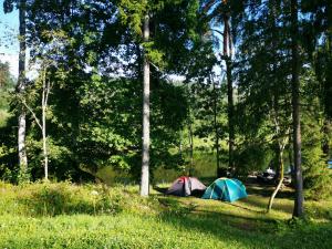 采西斯Kempings Ozolkalns的树旁田野上的两个帐篷