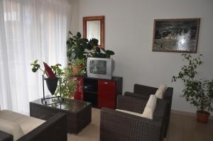 里米尼德拉维斯达酒店的客厅设有电视,位于植物柜上