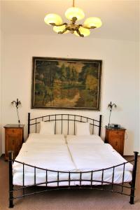 新比斯特日采Apartmány PAPÍK的卧室配有一张床,墙上挂有绘画作品