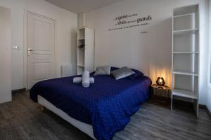 库唐斯Grand F2 refait à neuf, Plein coeur Centre Ville的一间卧室配有蓝色的床和枕头