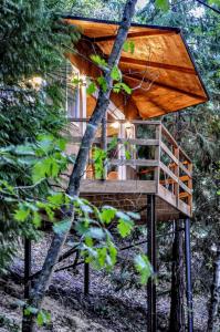 维埃拉·多米尼奥Secret do Gerês的林中带甲板的树屋