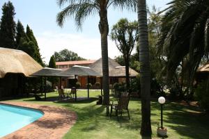 肯普顿帕克Aero Airport Lodge的一个带游泳池和棕榈树的度假庭院