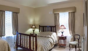 阿赛莫特 农家乐的一间卧室设有一张床和两个窗户。