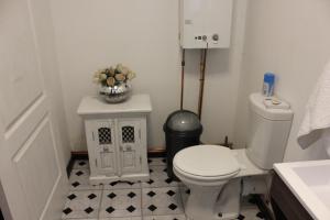 Nieu-BethesdaFurrows Lodge的一间带卫生间和花瓶的浴室