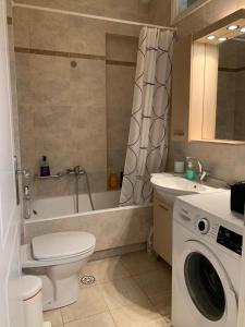 雅典New luxury apartment in central suburb of Athens的浴室配有卫生间、盥洗盆和洗衣机。