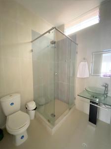 埃尔科莱希奥Villa Claudia - apartamento cómodo y tranquilo的带淋浴、卫生间和盥洗盆的浴室