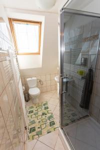 莱沃恰Horsky dom的带淋浴和卫生间的浴室