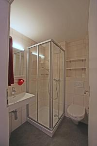 迪格滕兰德格斯霍夫赫尔森酒店的带淋浴、卫生间和盥洗盆的浴室