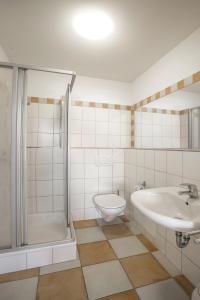 贝廷根Haus Ambros的一间带水槽、淋浴和卫生间的浴室
