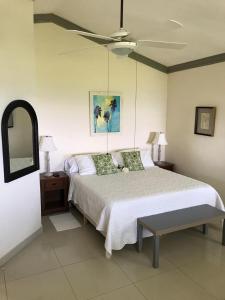 巴拉奥纳省圣克鲁斯Hotel Playazul的一间卧室配有一张床和吊扇