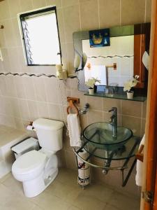 巴拉奥纳省圣克鲁斯Hotel Playazul的一间带卫生间和玻璃水槽的浴室