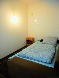 汉诺威Hannover Messe Wohnung 2的卧室配有一张床,墙上有灯