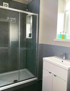 特里迪格Tredegar Arms Hotel的带淋浴和盥洗盆的浴室