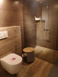 SwalmenDe Eppenbeek的一间带卫生间和淋浴的浴室
