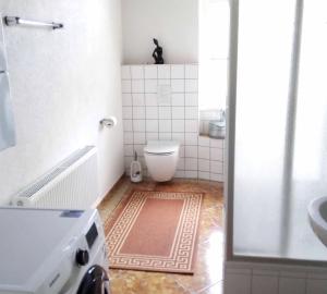 GeyerFerienwohnung Erzgebirge的一间带卫生间和水槽的小浴室