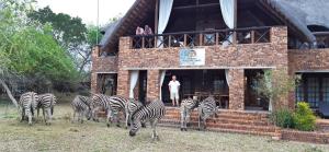 玛洛斯帕克Kruger Riverside Lodge - No Load-shedding的一群斑马站在一座建筑物前面