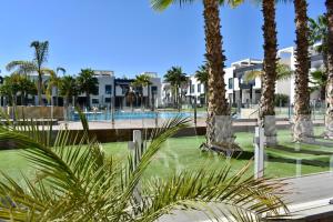 奥里韦拉海滩Casa La Zenia的棕榈树和游泳池度假村