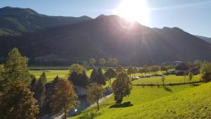 施蒂利亚州毛特恩迈尔家庭旅馆的享有山谷的空中景致,并拥有树木和山脉