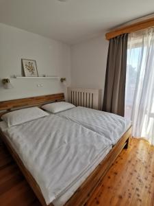 莫济列Apartma Lesjak - pobeg v naravo的卧室内的一张大床,设有窗户