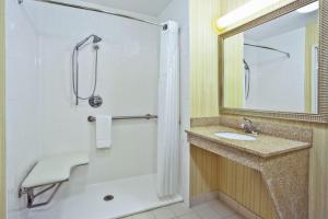 歌珊戈申快捷假日&套房酒店的一间带水槽、淋浴和镜子的浴室