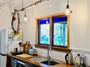 纳尔逊Quail Farm, Colonial charm的厨房设有水槽和窗户。