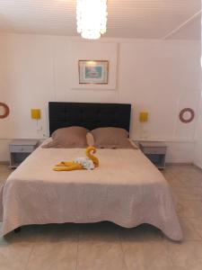 卡夫尔高原Les GREVILLEAS的一间卧室配有一张带2个床头柜的大床