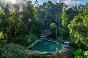 乌布Dua Dari, a Residence by Hadiprana的花园游泳池的顶部景色