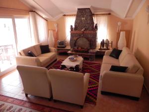 达利安Dalyan Palace的客厅设有两张沙发和一个壁炉