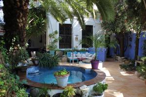 阿洛拉Artestacion的庭院里设有一个种满植物的游泳池