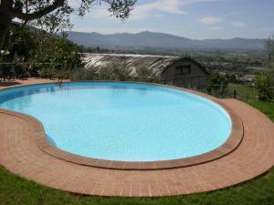 特雷维Agriturismo I Mandorli的草地上的大型蓝色游泳池