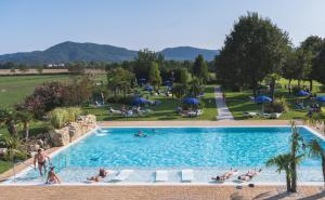 阿巴诺泰尔梅Hotel Terme Leonardo的一座大型游泳池,里面有人
